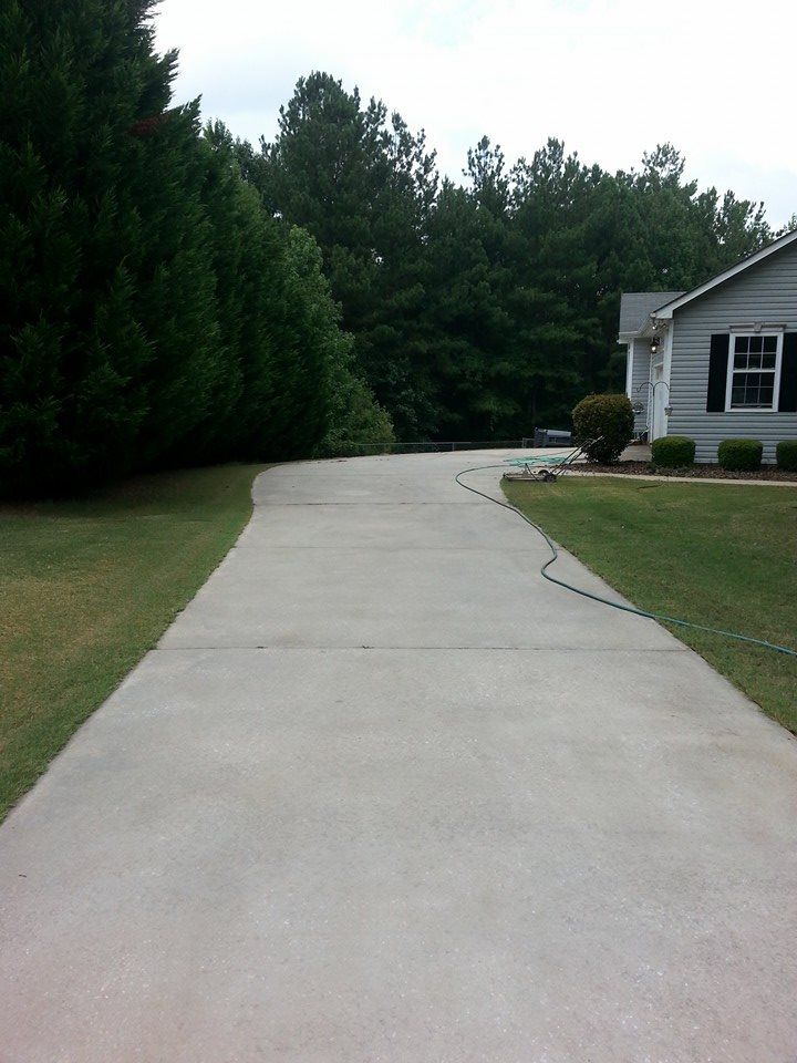 A long concrete driveway leading toward a house, flanked by a row of tall green trees and a grassy yard.