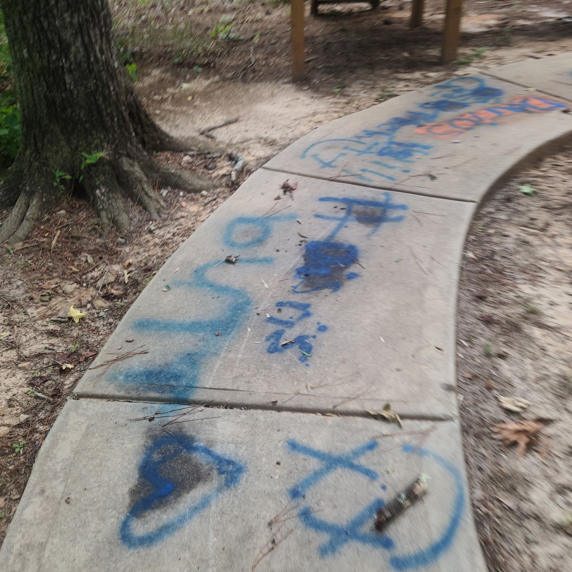 A curved concrete sidewalk in a wooded area marked with blue spray-painted graffiti, including a heart and a circle.