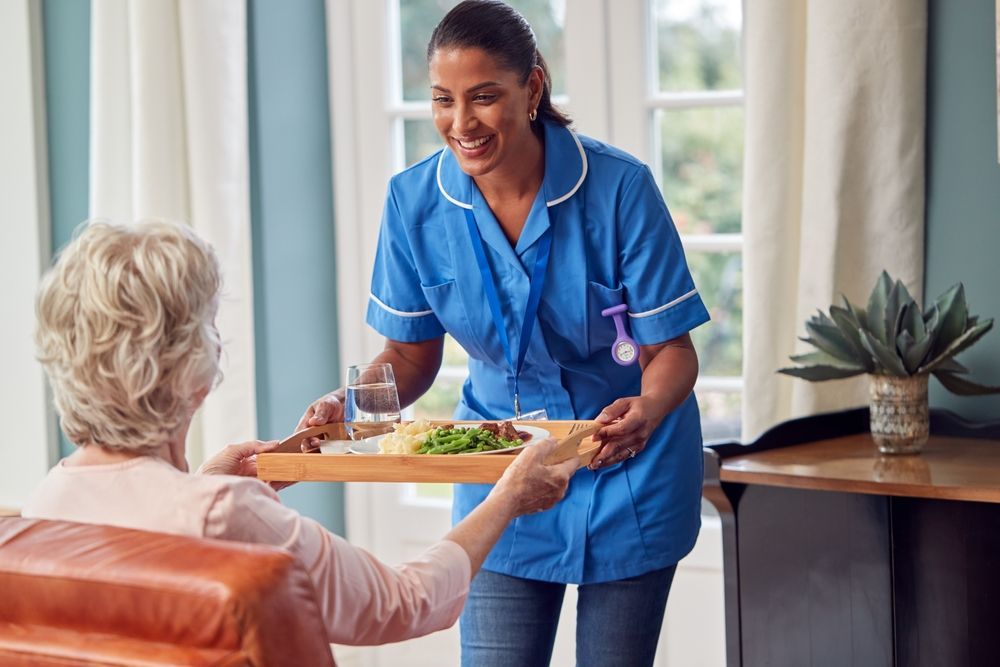 Woman Giving Home Meal