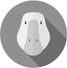A duck head in a circle with a long shadow.