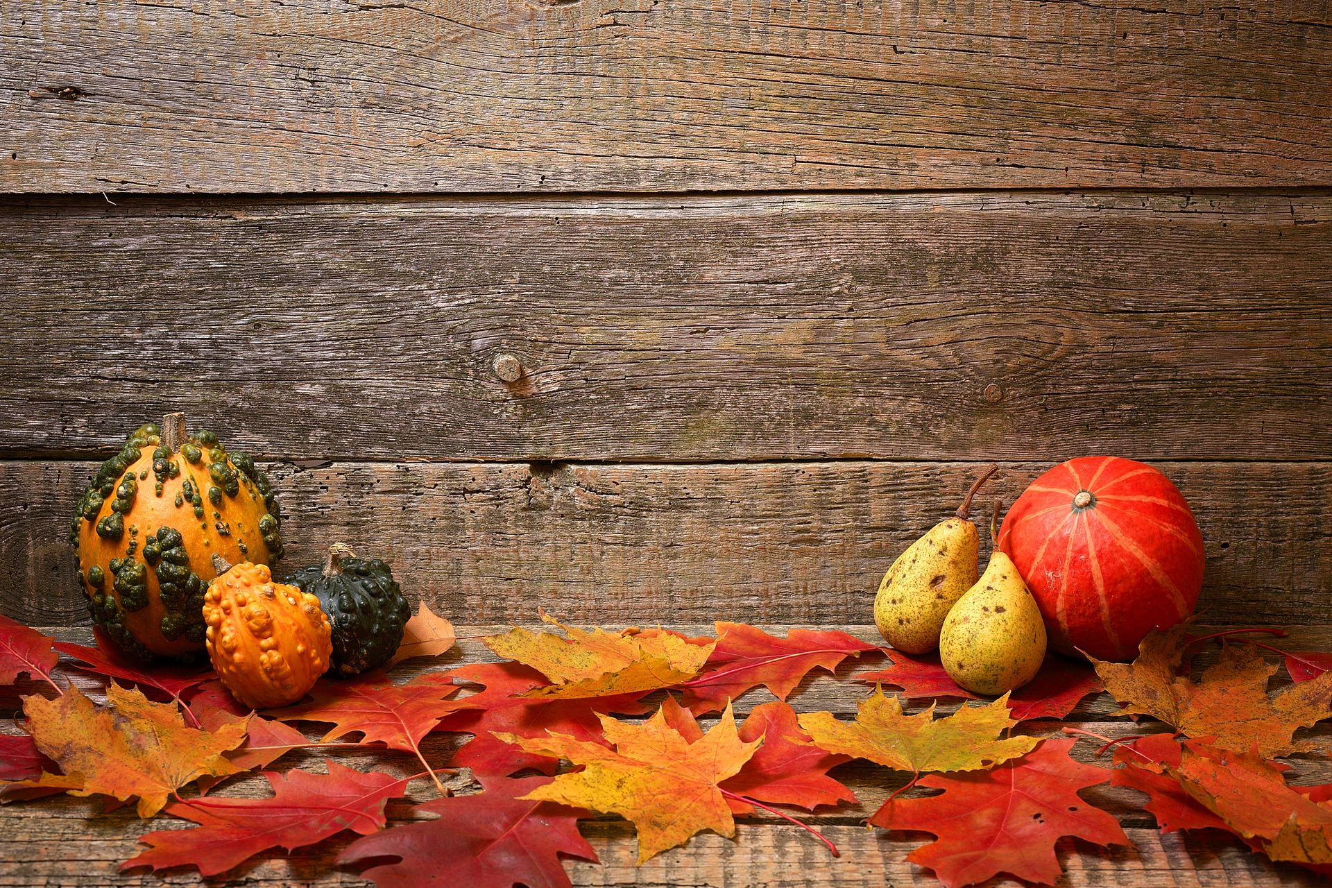 Saying Goodbye to Summer and Welcoming Autumn