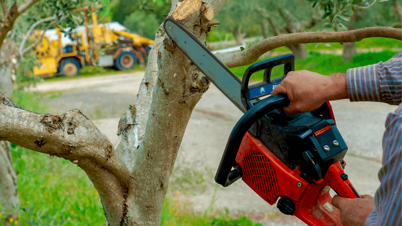 Worker using a red chainsaw to cut through a thick tree branch in a residential area as part of a professional tree service in Herriman, UT