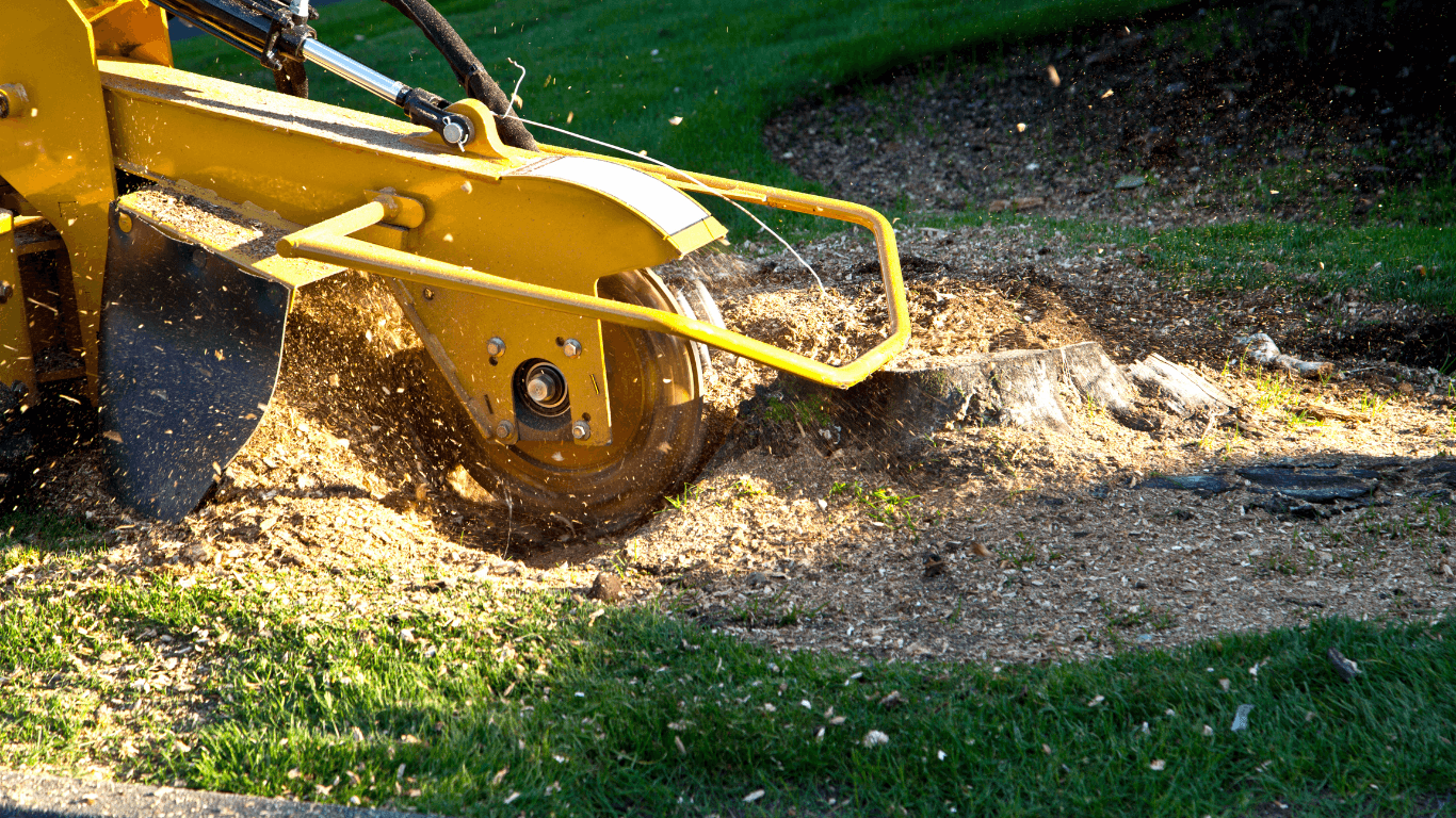 Close-up of a stump grinder machine cutting and spraying wood chips across a lawn during professional tree service in Herriman, UT, showing active stump removal in a residential yard.