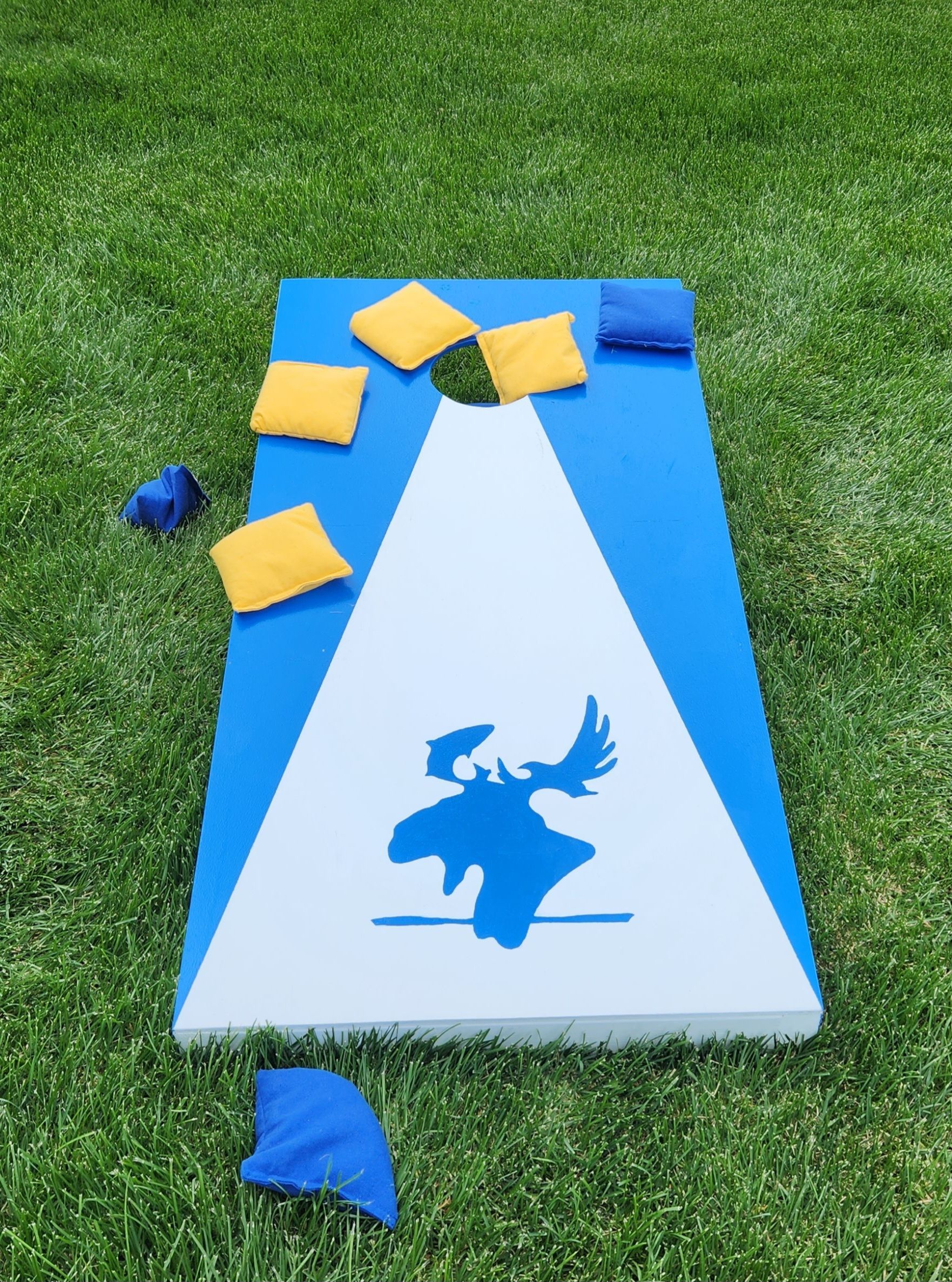 Blue-and-white game mat on grass with yellow beanbags and a blue dragon silhouette