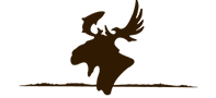 Silhouette of a winged fairy or fairy-like dancer above a thin horizon line, in dark brown on white background