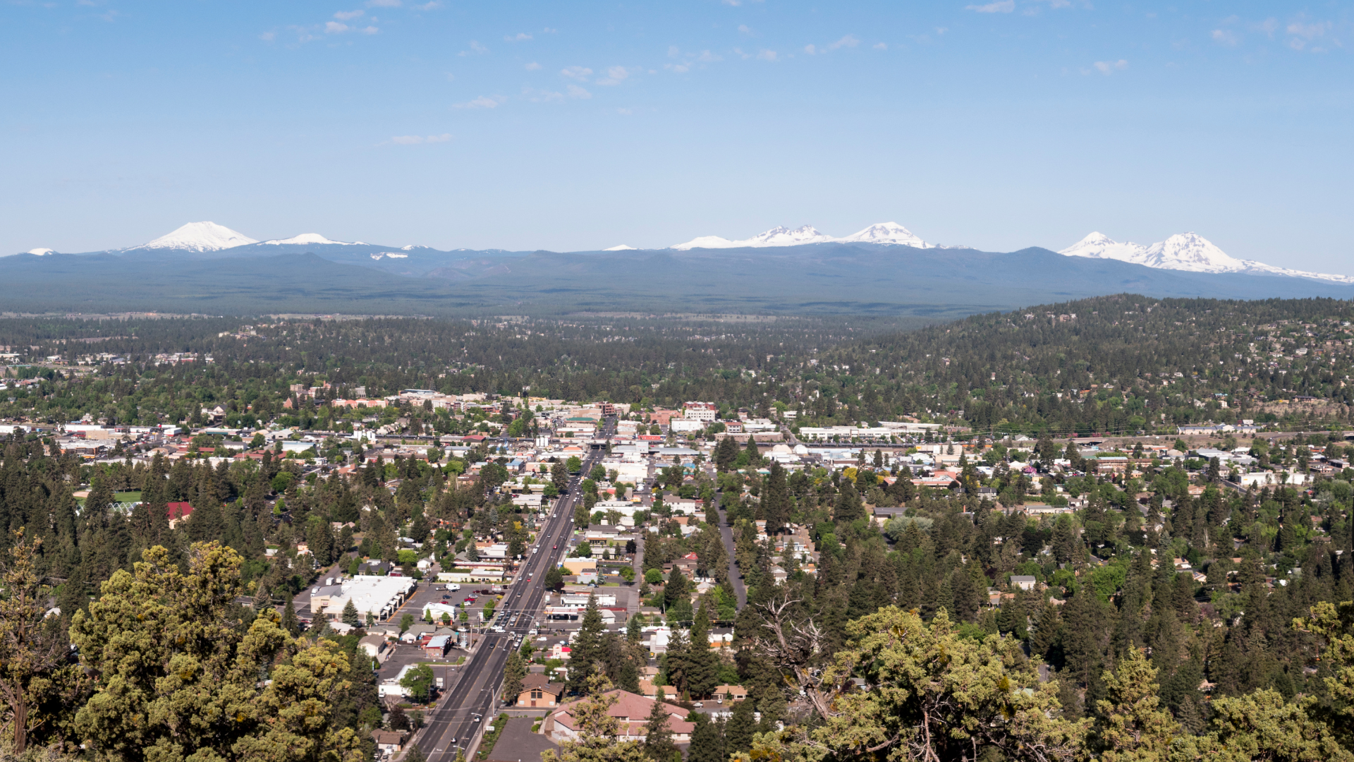 Panoramic cityscape with tree-lined streets and snow-capped mountains in the distance under a clear blue sky