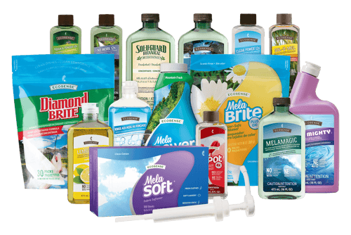 A variety of cleaning products are lined up on a white background.