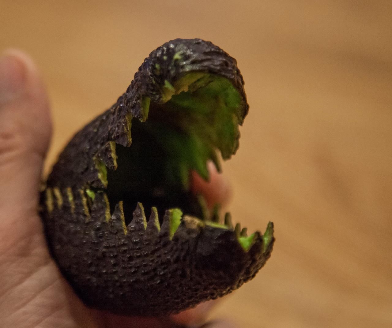 Krokodil, Avocado