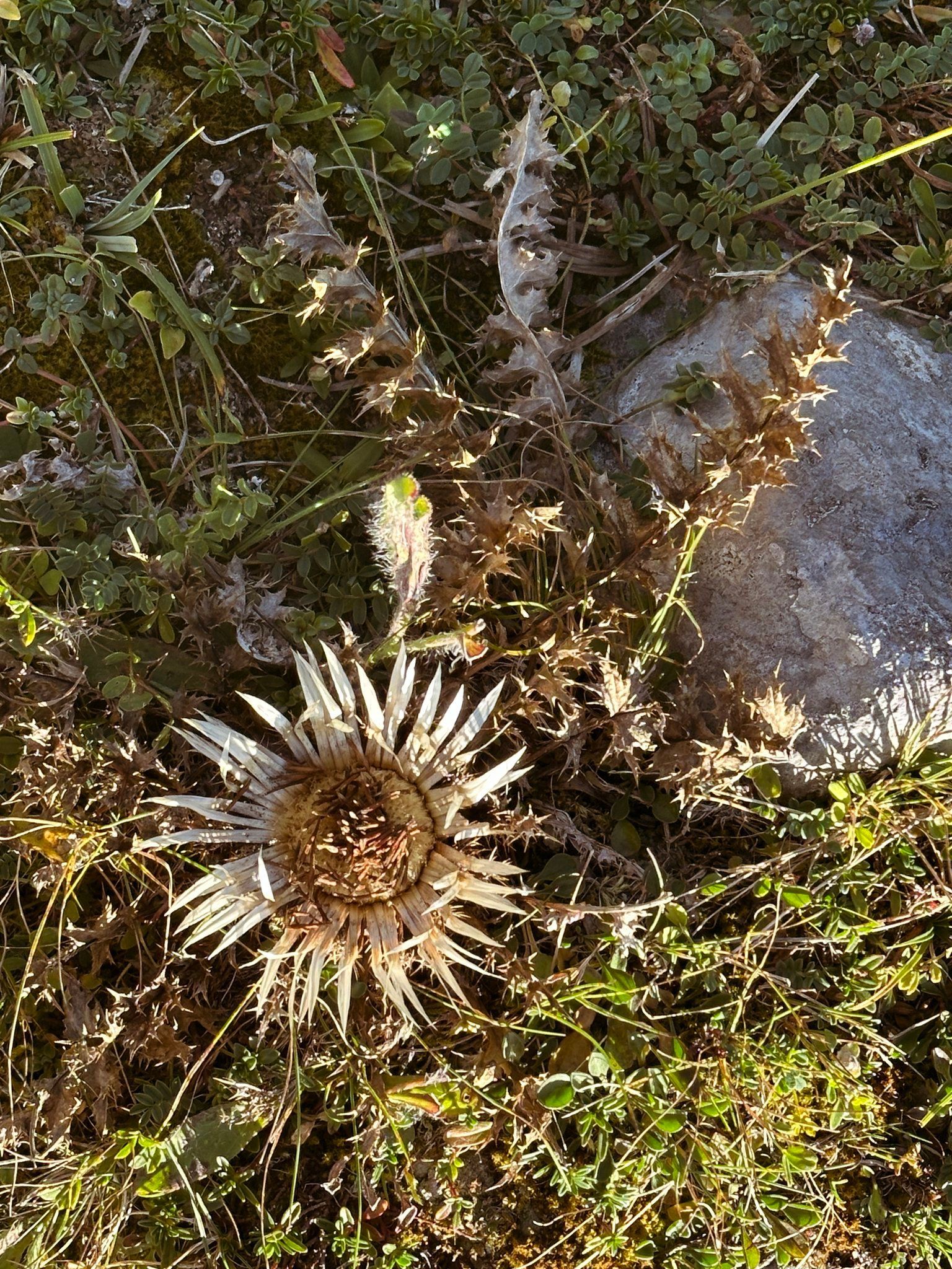 Karwendel, Klimawandel, Trockenheit, Wassermangel, DAV Hütten, Hartmut Ulrich