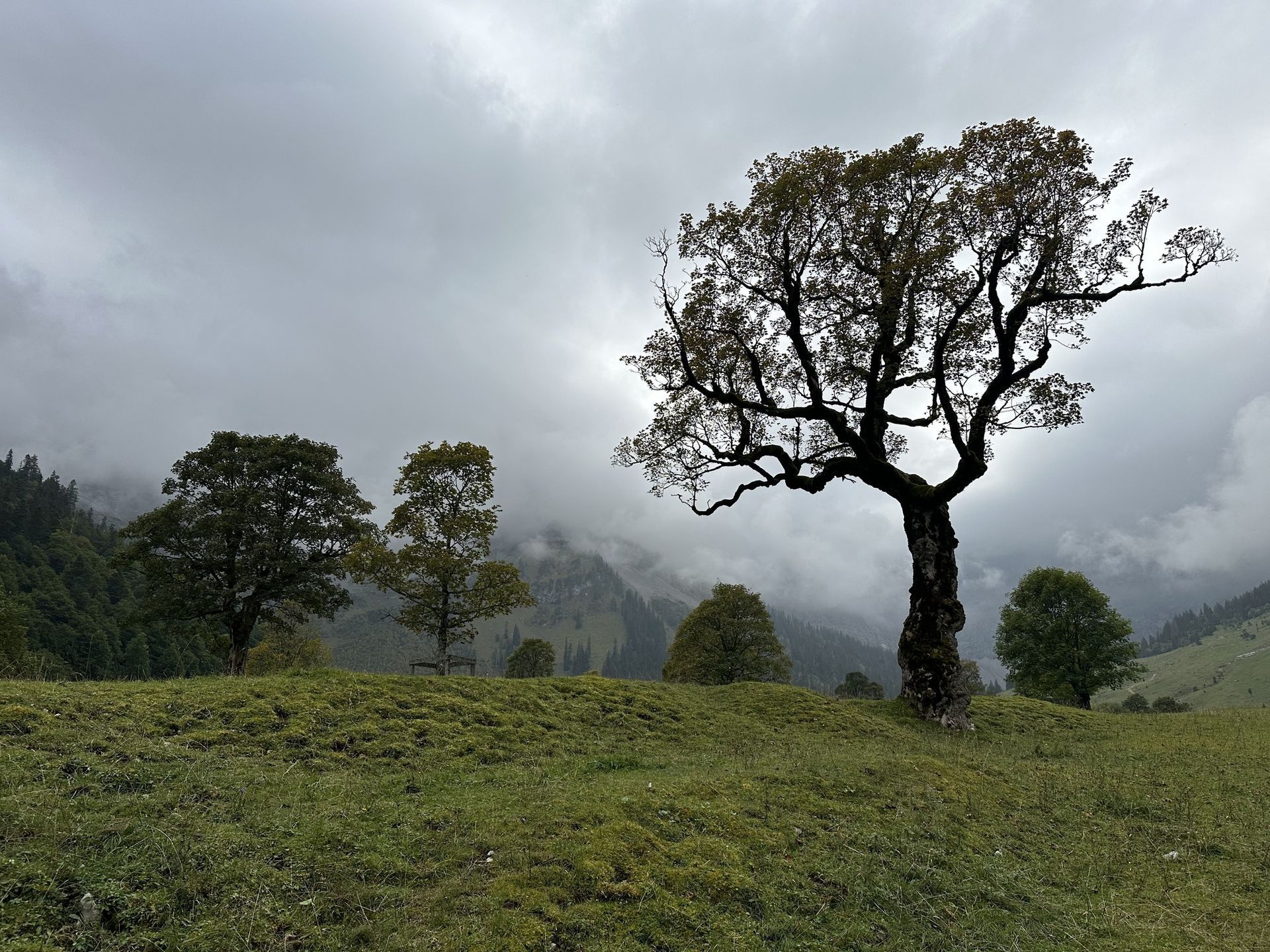 Karwendel, Klimawandel, Trockenheit, Wassermangel, DAV Hütten, Hartmut Ulrich