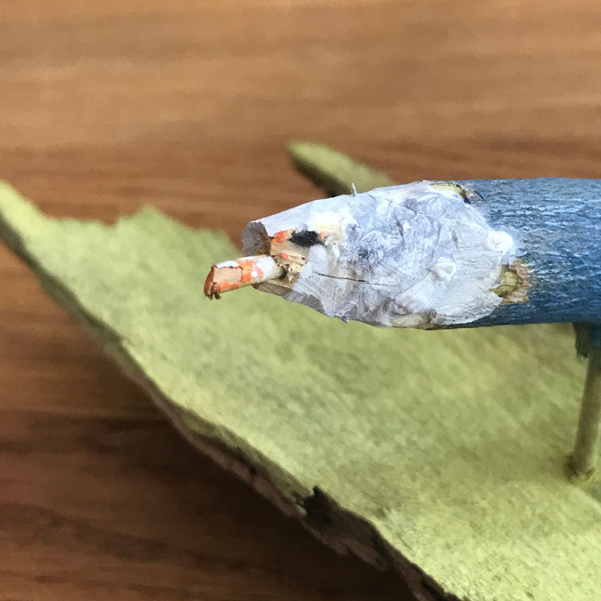 Seeadler, Kunst