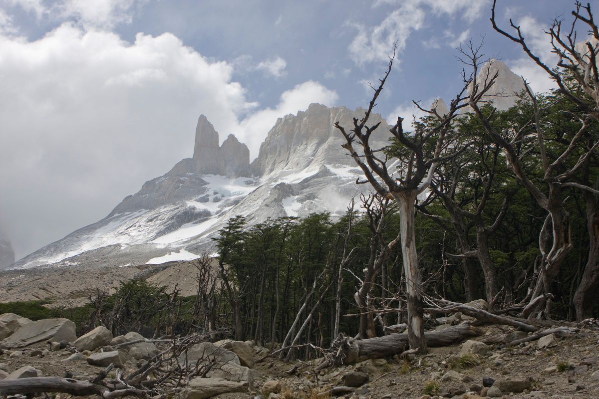Trekking, Backpacking, Patagonien, Argentinien, Chile, Südamerika, Hielo Sur, Feuerland, Torres del Paine