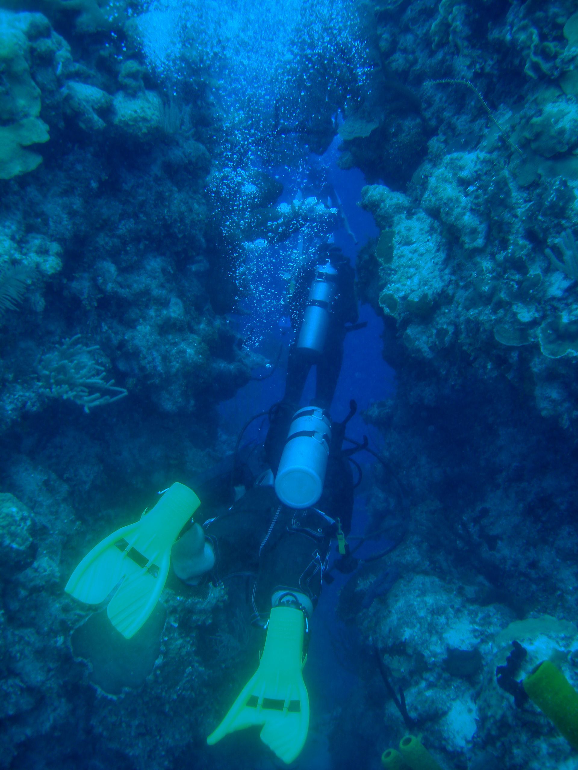 Scuba Diving | Hartmut Ulrich

