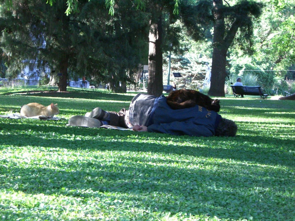 Südamerika, Argentinien, Buenos Aires, Trekking, Hartmut Ulrich