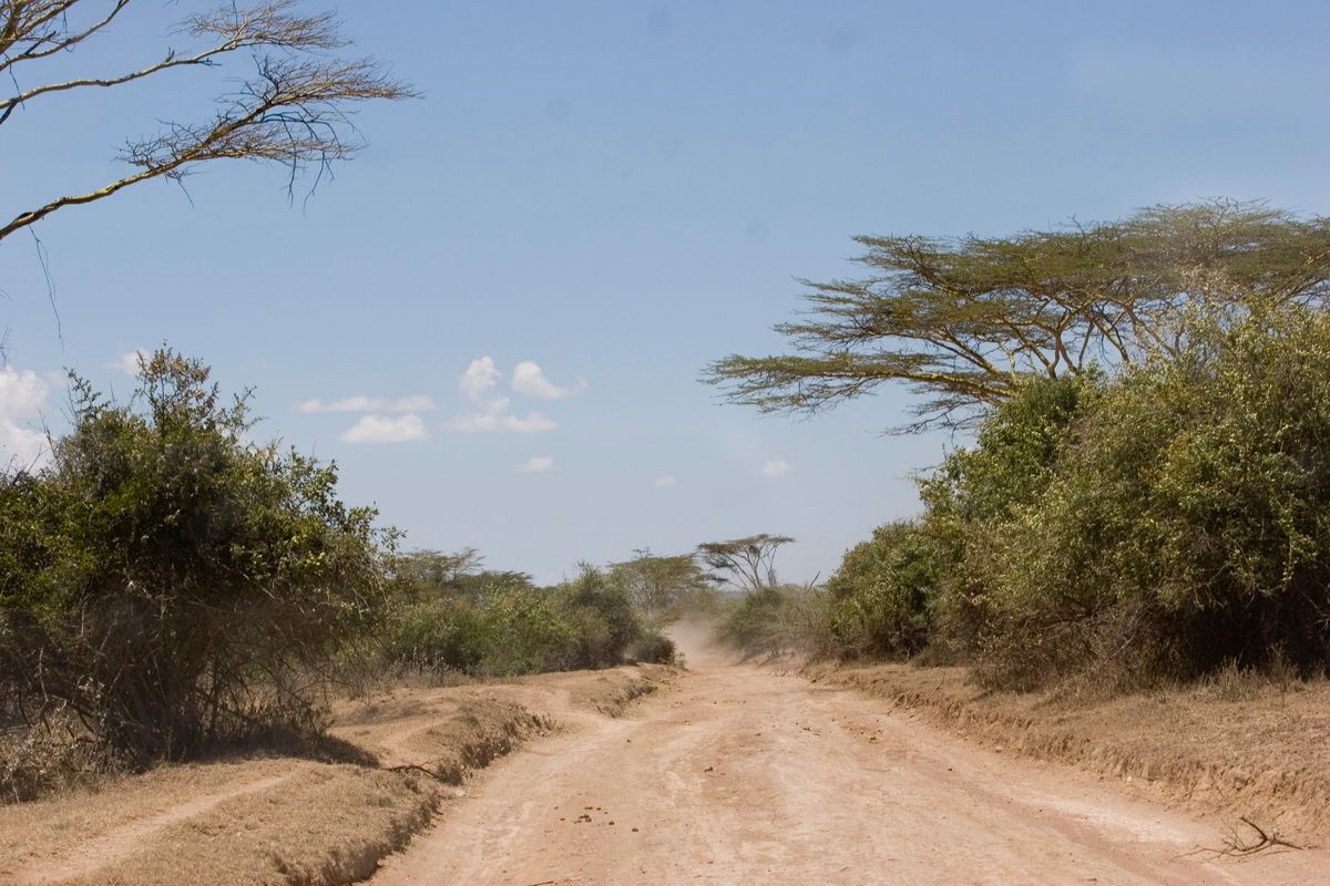 Ostafrika, Tansania, Kenia, Safari,