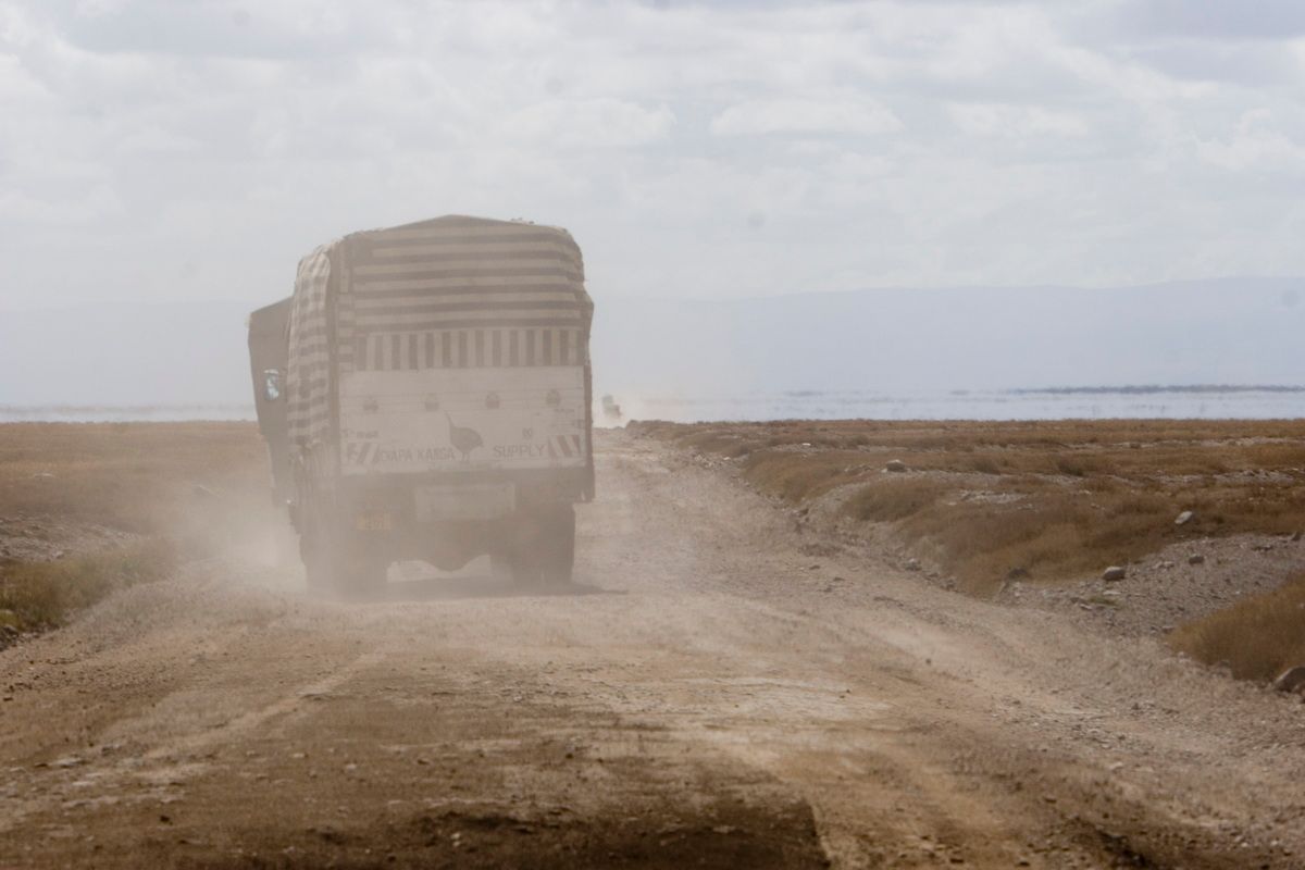 Ostafrika, Tansania, Kenia, Safari, Tierfoto, Ngorongoro, Chamäleon