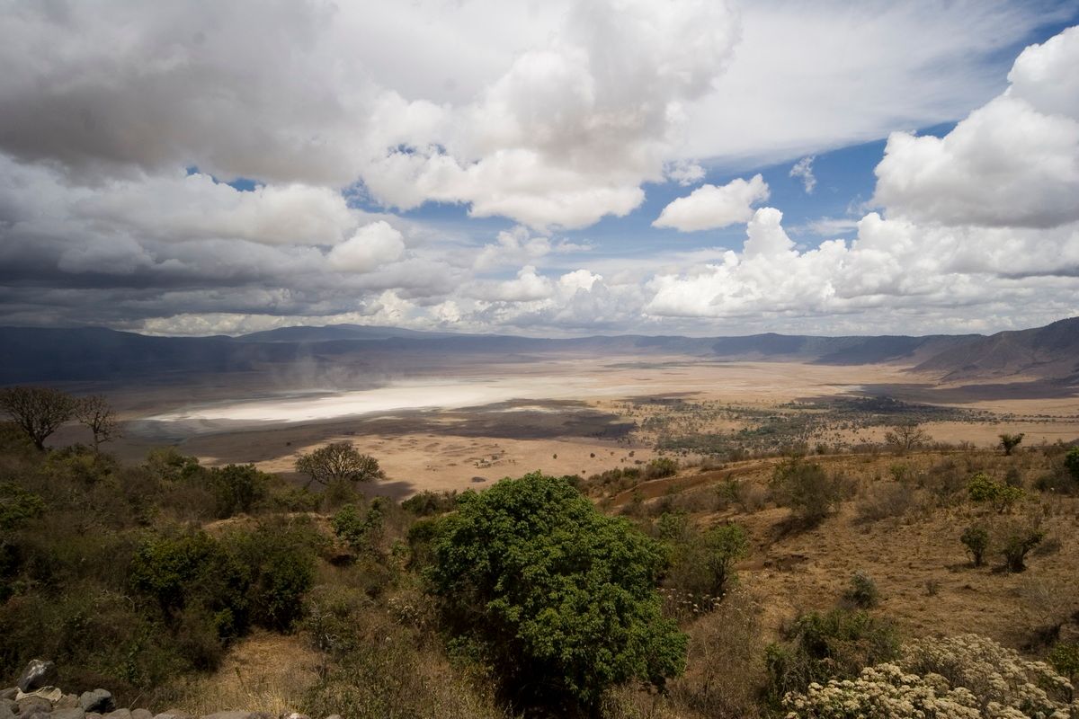 Ostafrika, Tansania, Kenia, Safari, Tierfoto, Ngorongoro