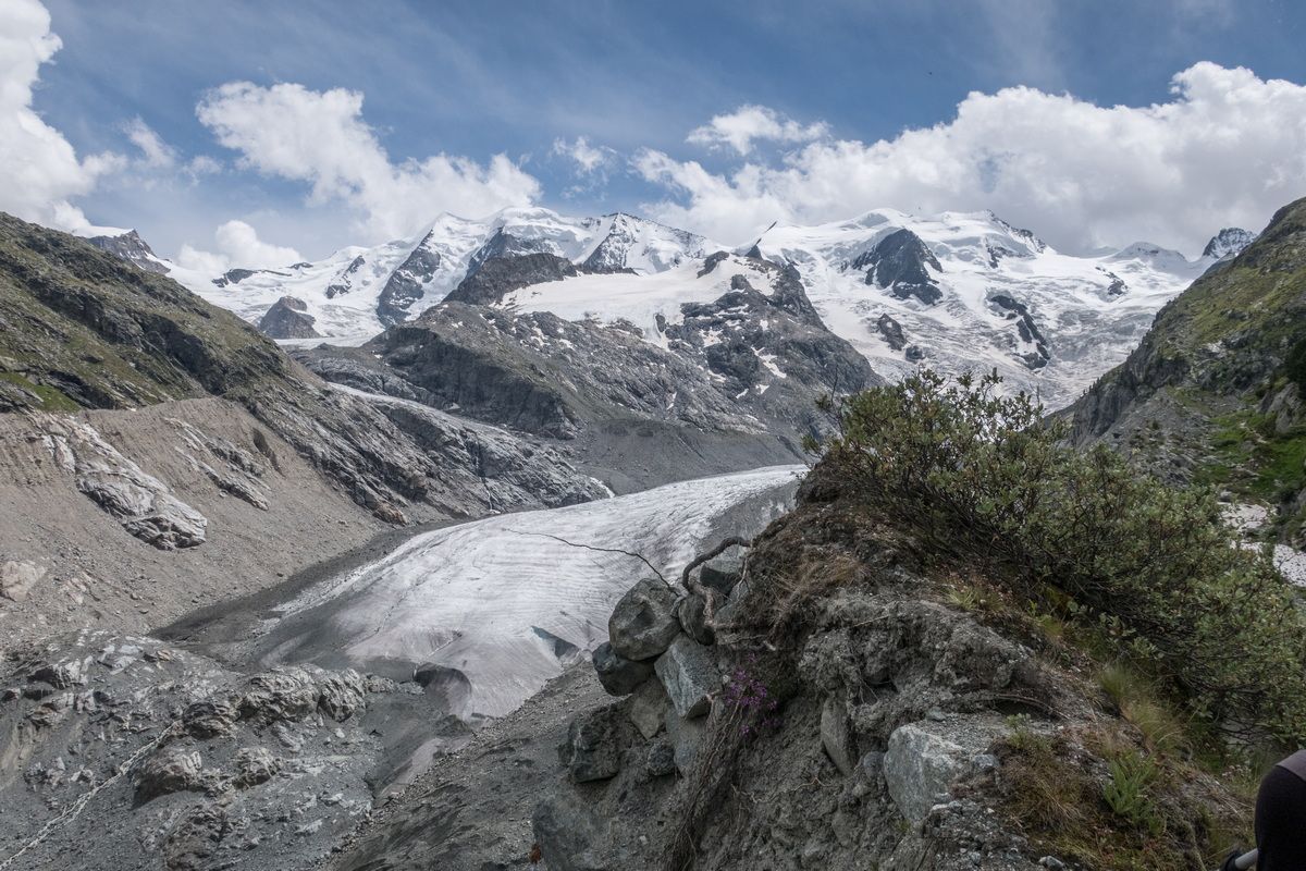 Bernina