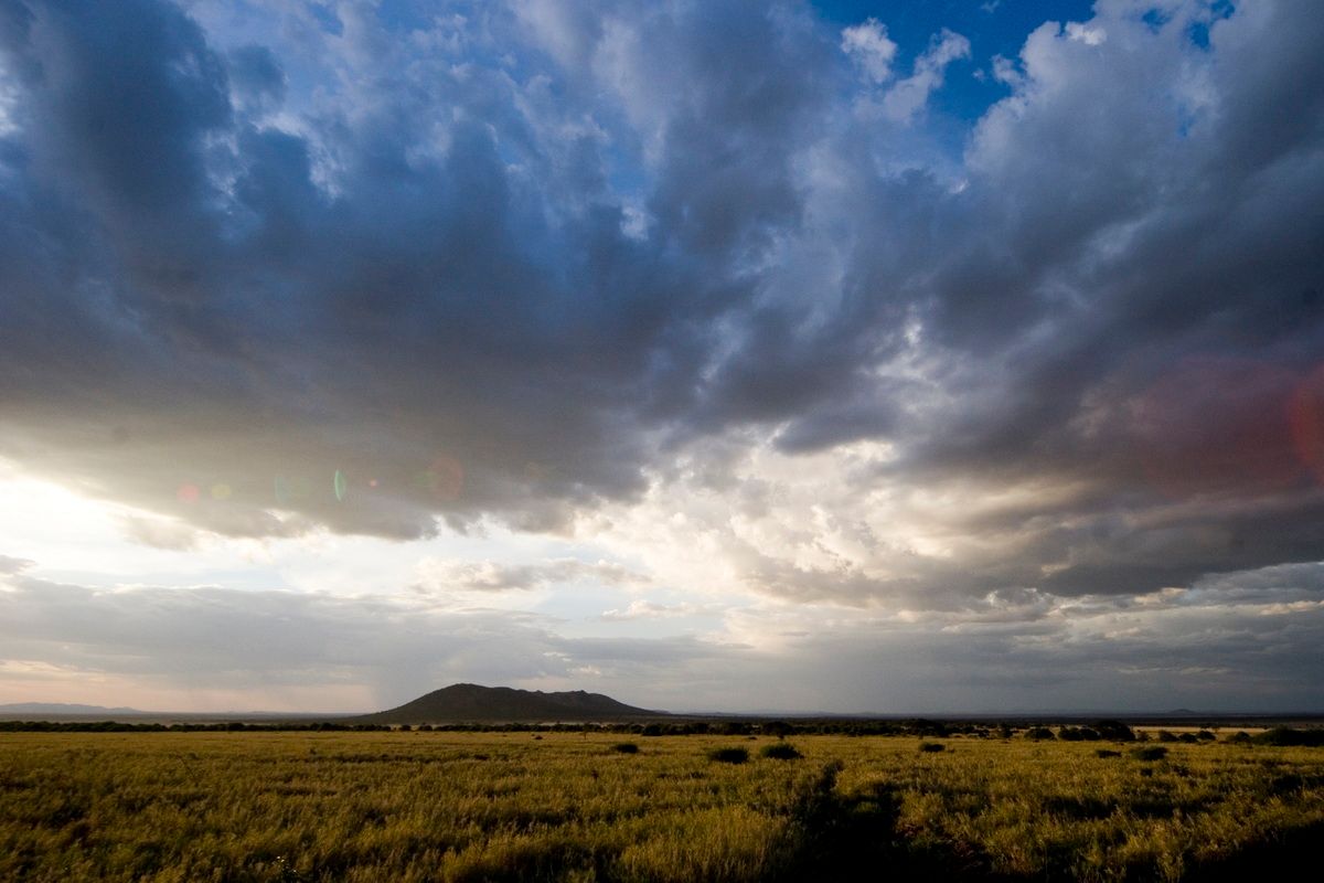 Ostafrika, Tansania, Kenia, Safari, Tierfoto, Serengeti