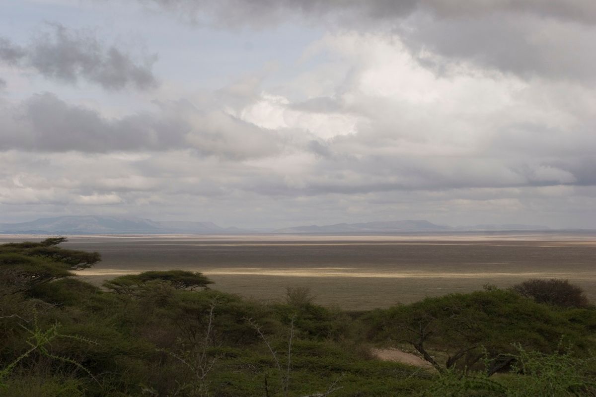 Ostafrika, Tansania, Kenia, Safari, Tierfoto, Serengeti