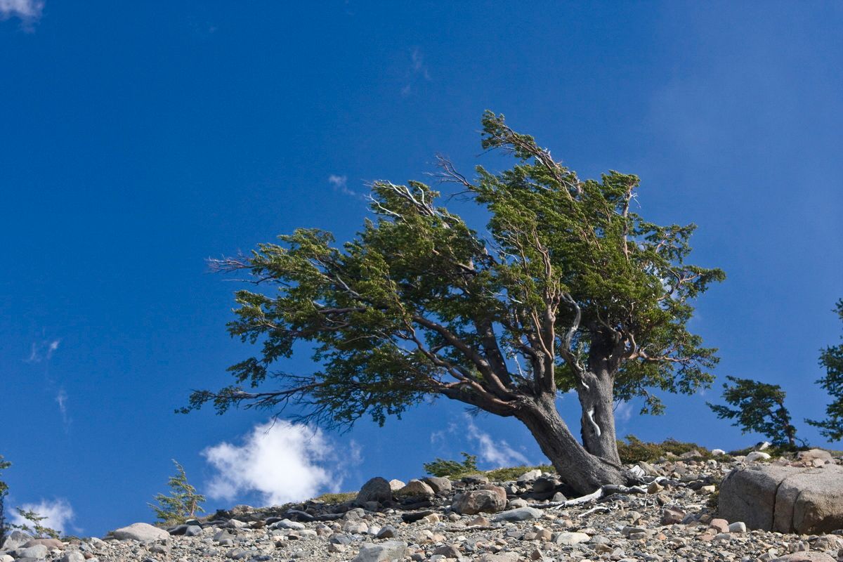 Südamerika, Argentinien, Patagonien, Trekking, Torres del Paine, Hartmut Ulrich