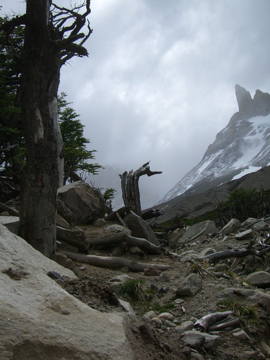 Südamerika, Argentinien, Patagonien, Trekking, Torres del Paine, Gletscher, Eis, Hartmut Ulrich