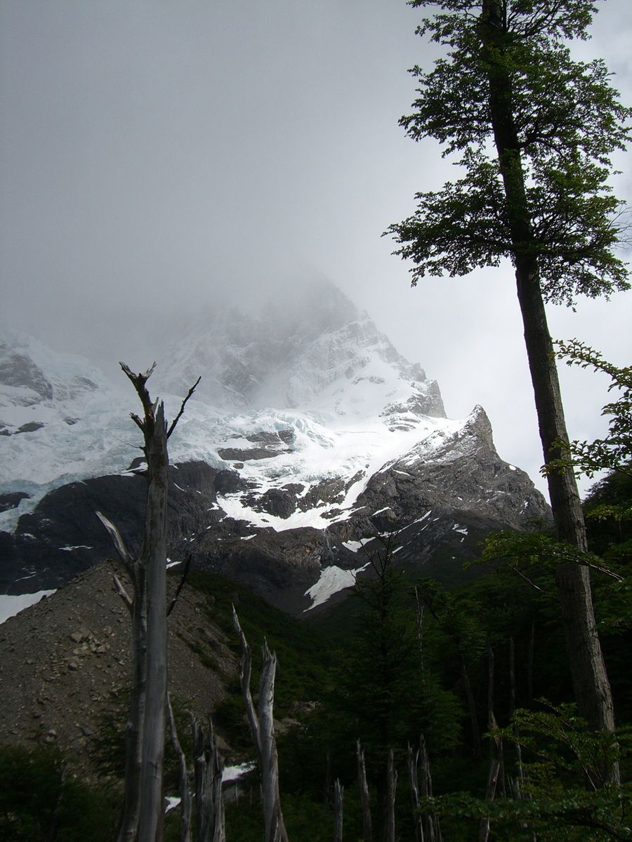 Südamerika, Argentinien, Patagonien, Trekking, Torres del Paine, Gletscher, Eis, Hartmut Ulrich