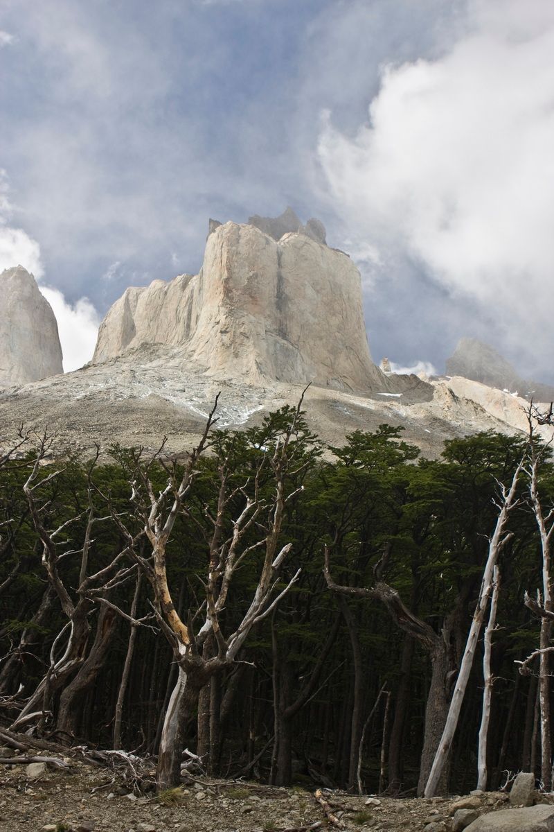 Südamerika, Argentinien, Patagonien, Trekking, Torres del Paine, Gletscher, Eis, Hartmut Ulrich