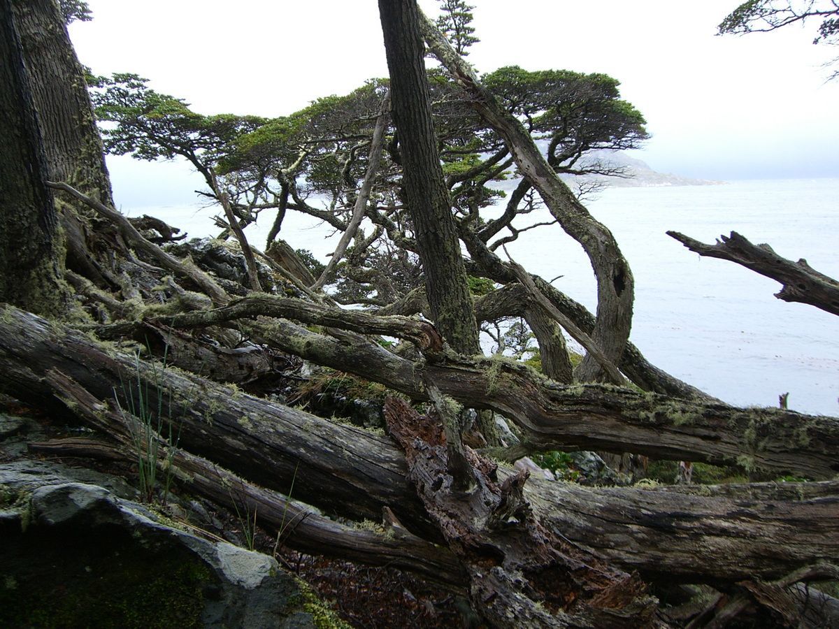 Südamerika, Argentinien, Patagonien, Trekking, Tierra del Fuego, Ushuaia, Hartmut Ulrich