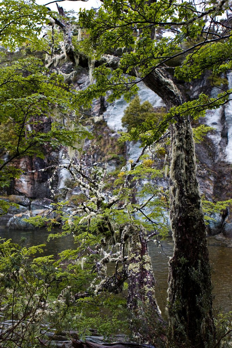 Südamerika, Argentinien, Patagonien, Trekking, Tierra del Fuego, Ushuaia, Hartmut Ulrich