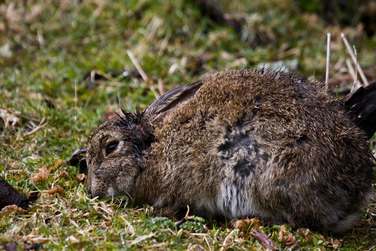 Südamerika, Argentinien, Patagonien, Trekking, Tierra del Fuego, Ushuaia, Hartmut Ulrich