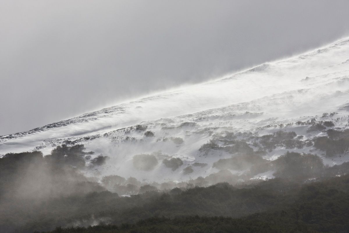 Südamerika, Argentinien, Patagonien, Trekking, Tierra del Fuego, Ushuaia, Hartmut Ulrich