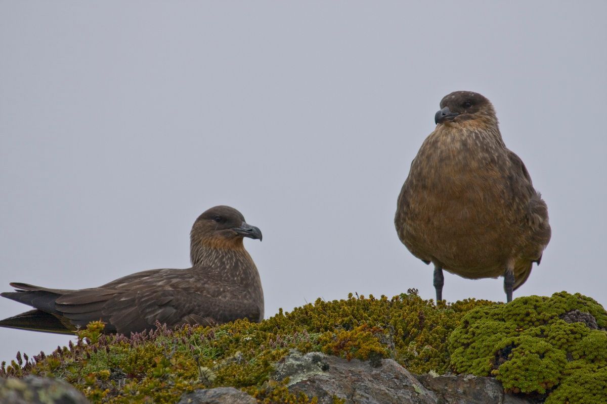 Südamerika, Argentinien, Patagonien, Trekking, Tierra del Fuego, Ushuaia, Hartmut Ulrich