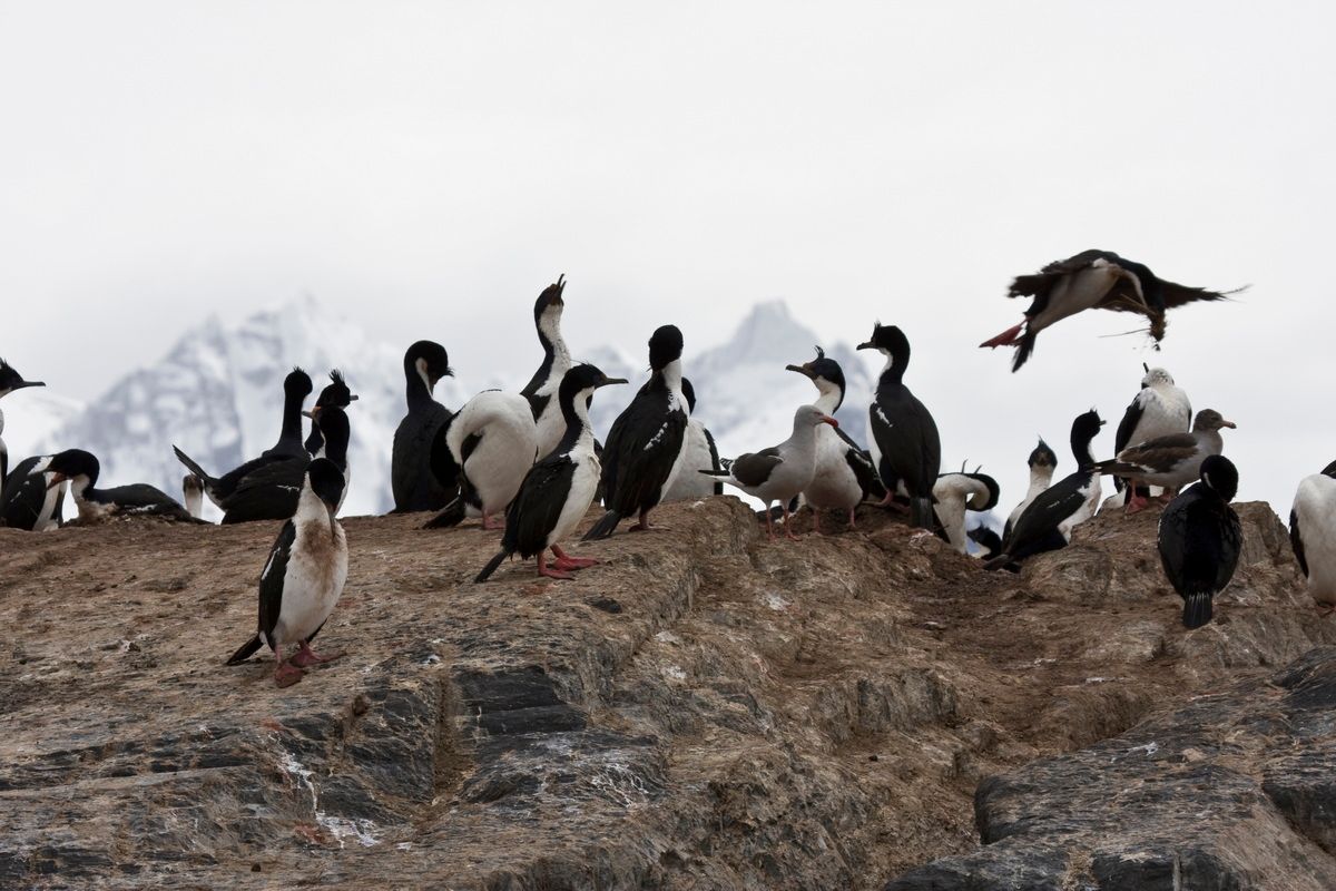 Südamerika, Argentinien, Patagonien, Trekking, Tierra del Fuego, Ushuaia, Hartmut Ulrich
