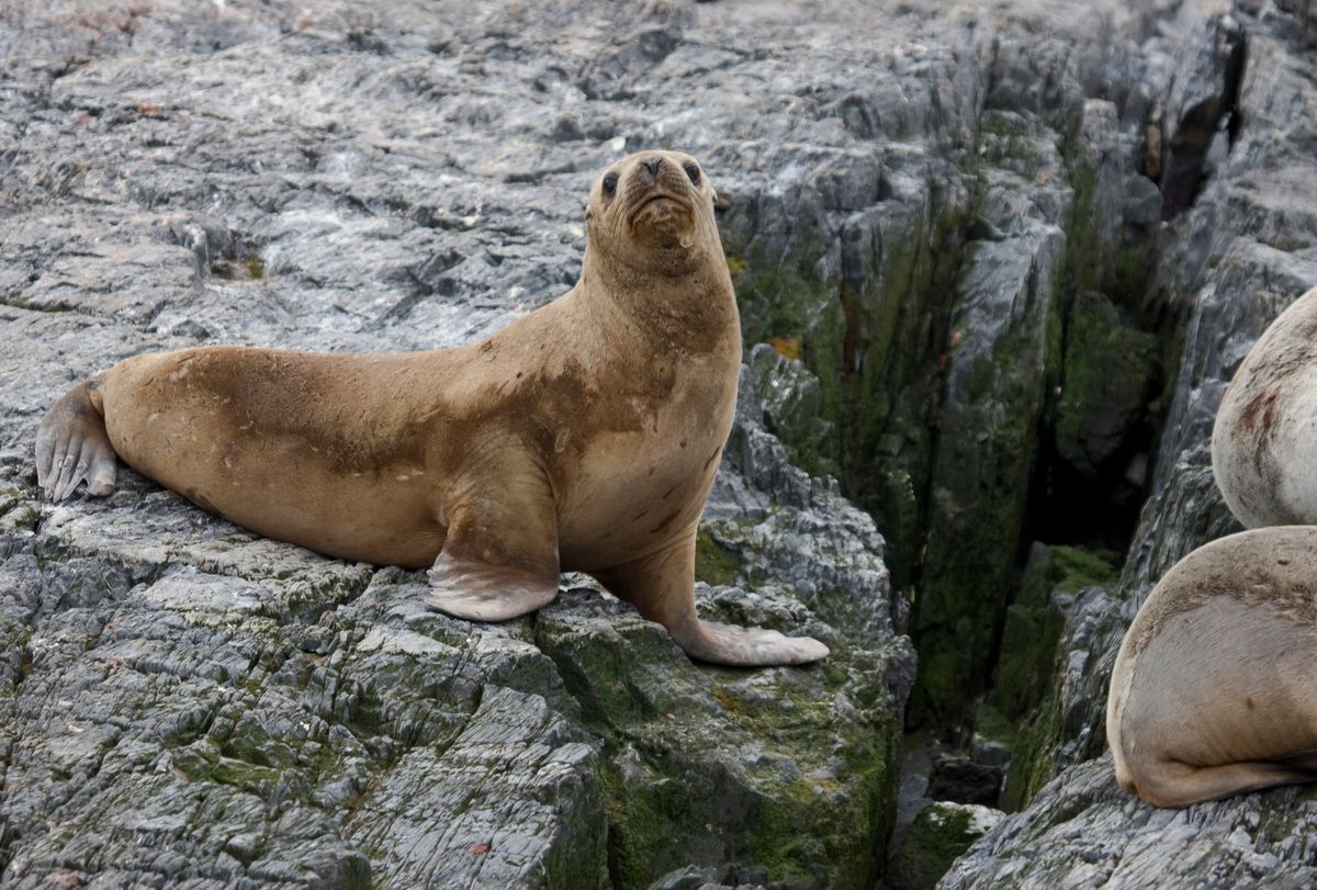 Südamerika, Argentinien, Patagonien, Trekking, Tierra del Fuego, Ushuaia, Hartmut Ulrich