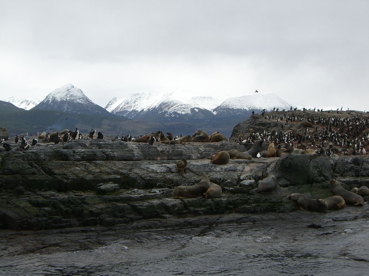 Südamerika, Argentinien, Patagonien, Trekking, Tierra del Fuego, Ushuaia, Hartmut Ulrich