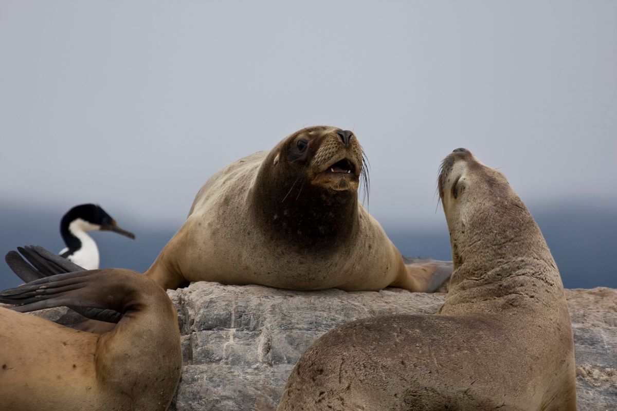 Südamerika, Argentinien, Patagonien, Trekking, Tierra del Fuego, Ushuaia, Hartmut Ulrich