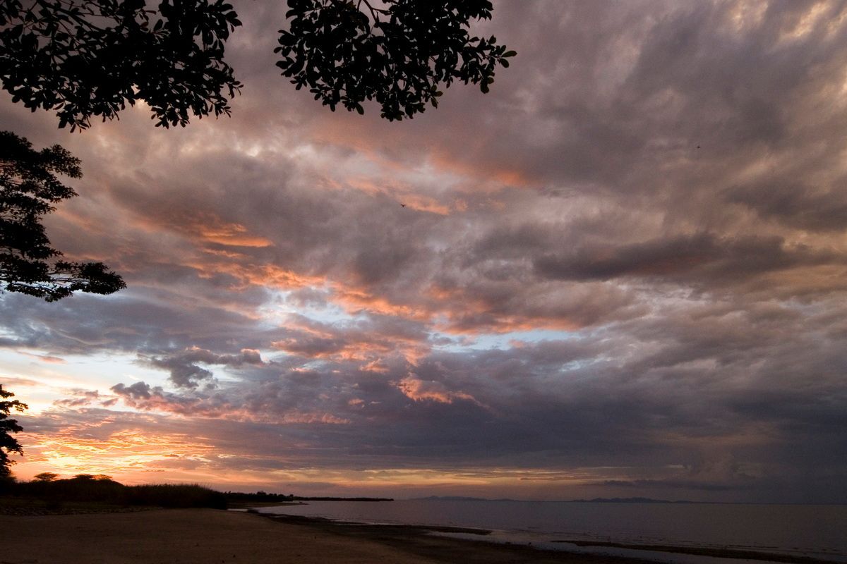 Ostafrika, Tansania, Kenia, Safari, Tierfoto, Lake Victoria, Speke Bay, Sonnenuntergang