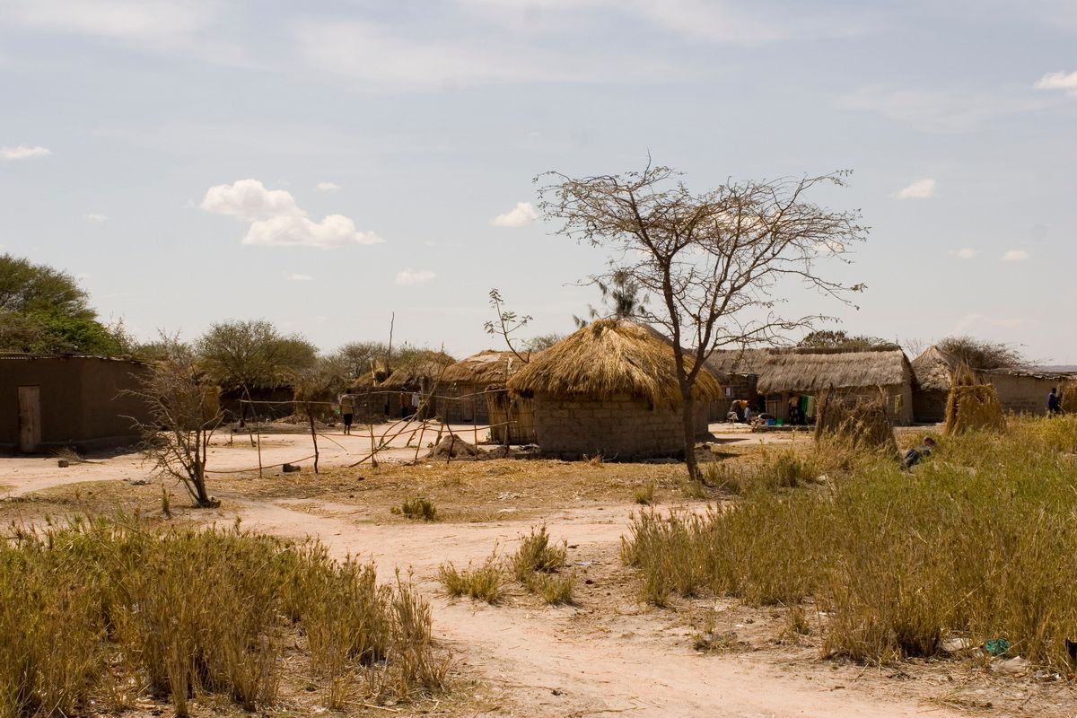 Ostafrika, Tansania, Kenia, Safari, Tierfoto, Lake Victoria, Speke Bay, Fischer