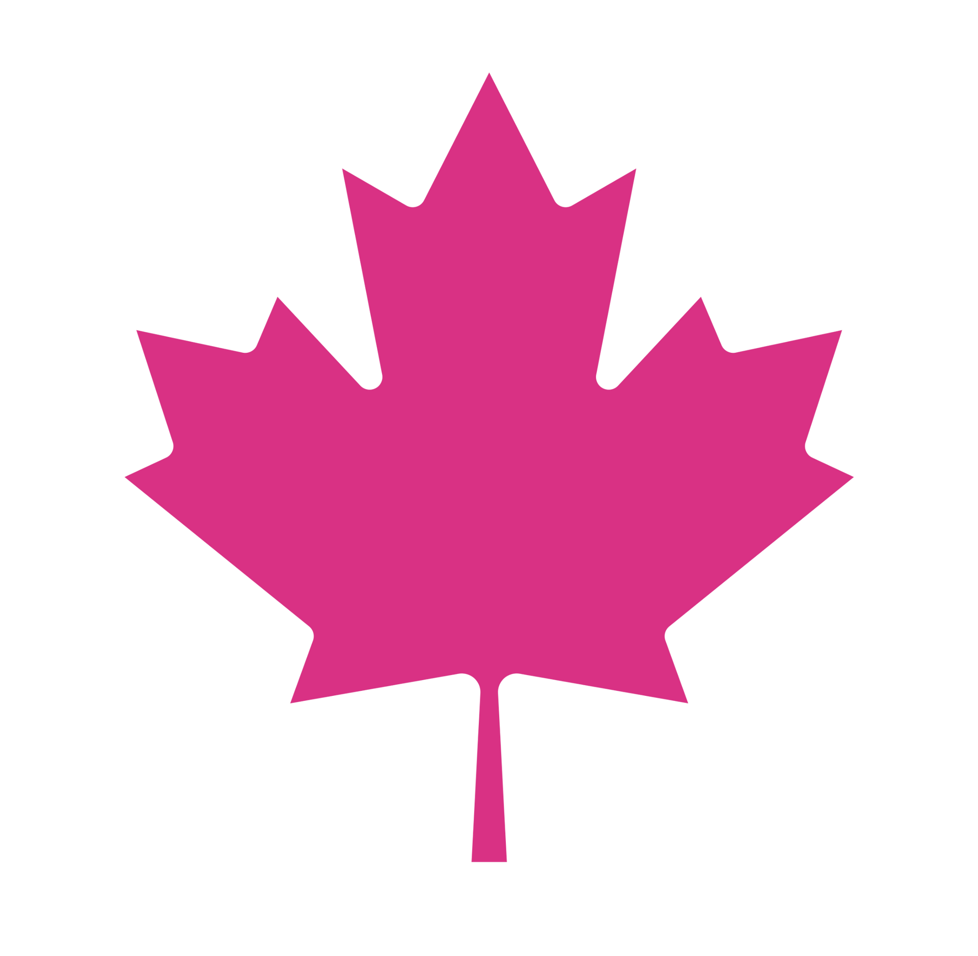 Feuille d'érable rose.