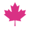 Feuille d'érable rose.
