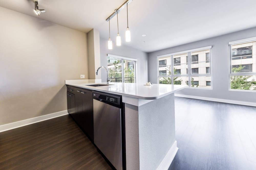 Modern kitchen interior with dark cabinets and stainless steel appliances, featuring a kitchen island with a sink and a bright room with large windows and hardwood floors at Marq 211 in Seattle, WA.