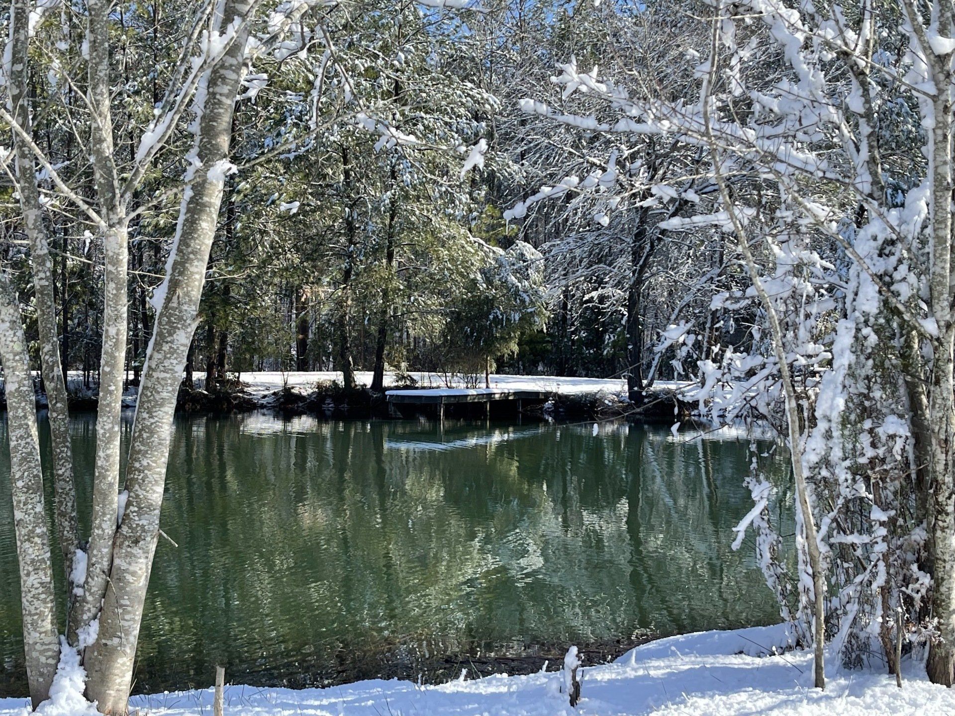 picture of sparkly pond with snow on the trees