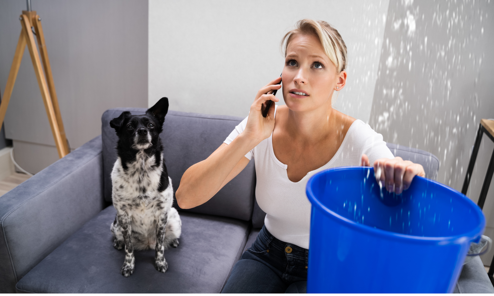A woman is sitting on a couch with a dog and talking on a cell phone.