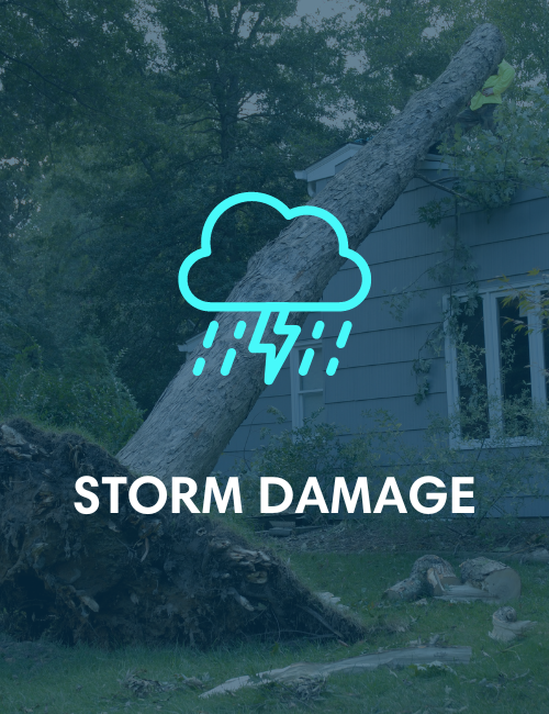 stormcloud icon with cloud with rain and lightning coming out of the cloud