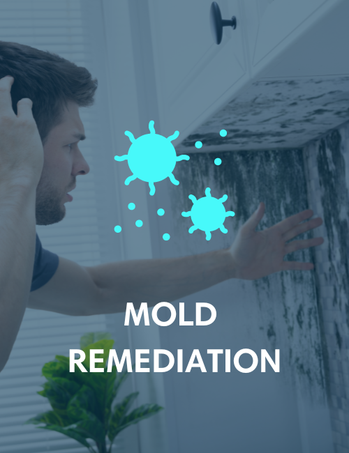 Mold Spore Icon