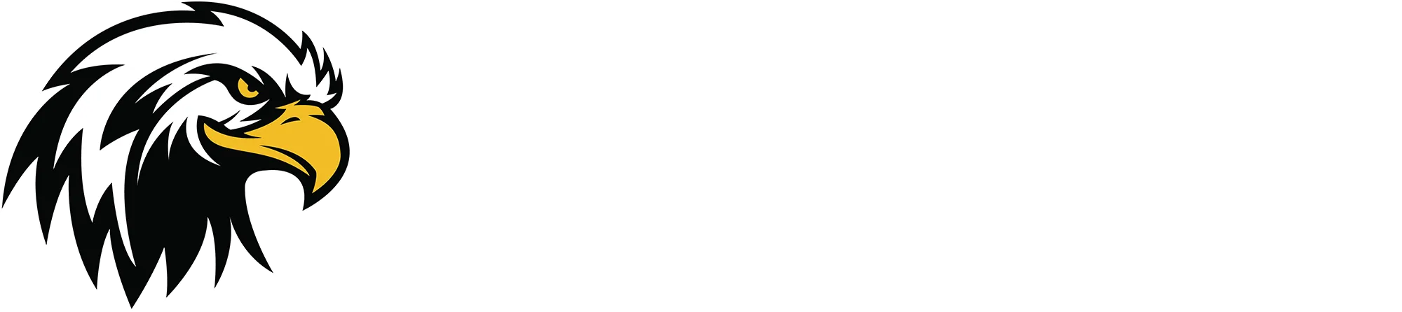 First Watch Security Solutions