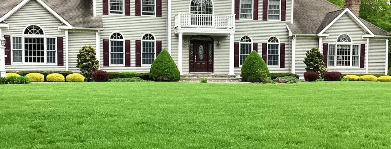 Lawn Fertilization & Weed Control Program Completed in Shelton, CT