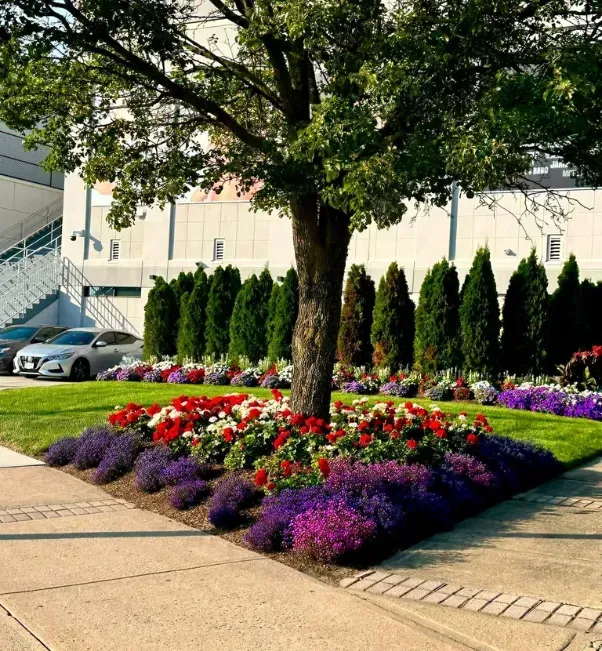 commercial grounds maintenance in stratford ct