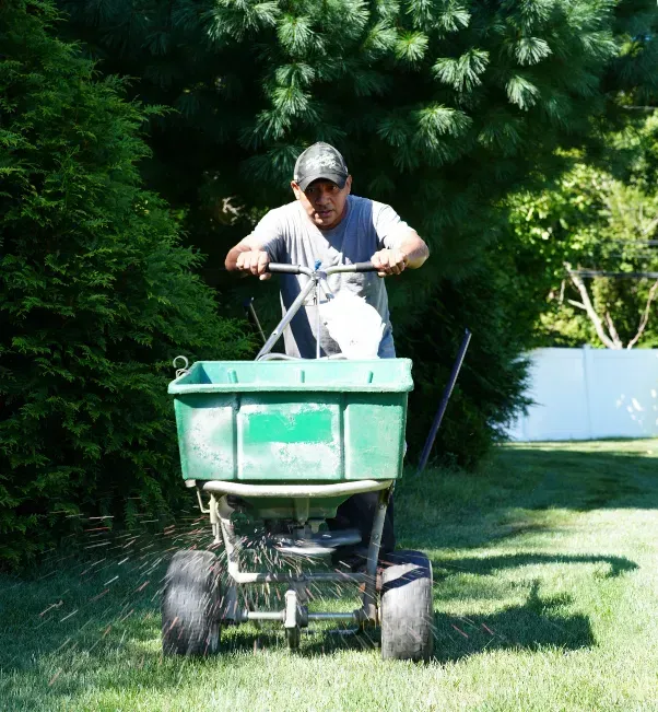 core aeration overseeding lawn care stratford ct